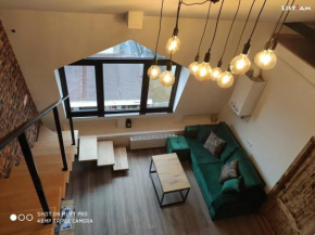 Cozy 3 Room Loft in the Center